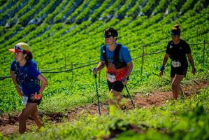 BIB: 
                            <button type="button" onclick="openModal(19162542)" class="btn btn-primary btn-sm float-right btn-popup" data-toggle="modal" data-target=".modal-high-quality">
                        <i class="fas fa-shopping-cart"></i> Add to Cart
                    </button>
                                            <button type="button" onclick="isThisMe(19162542, true)" class="btn btn-success btn-sm float-right btn-popup btn-isme hidden" data-toggle="tooltip" data-placement="bottom" title="นี่คือรูปของคุณใช่ไหม คลิกที่นี่เพื่อเอาเข้าอัลบั้ม">
                        <i class="fas fa-plus"></i> Add to album
                    </button>
                    <button type="button" onclick="isThisMe(19162542, false)" class="btn btn-warning btn-sm float-right btn-popup btn-isnotme hidden">
                        <i class="fas fa-ban"></i> Remove from album
                    </button>